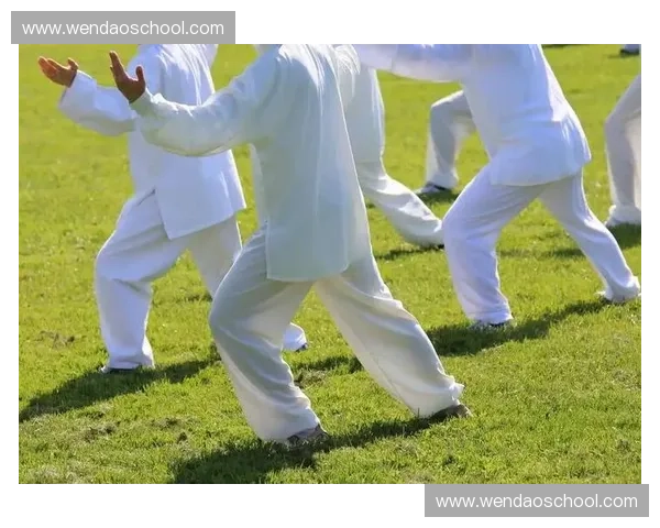 运动康养融合新模式助力健康生活方式全面提升 运动康养融合新模式助力健康生活方式全面提升